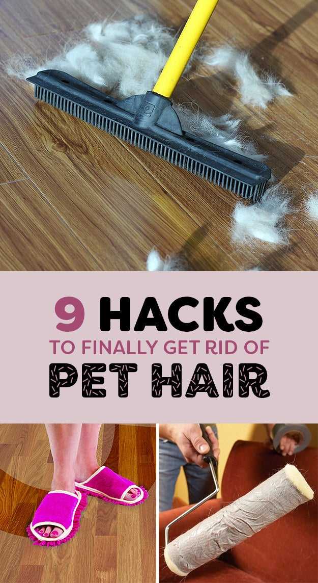3. Vacuum Cleaner with a Pet Hair Attachment
