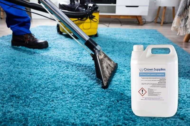 How Steam Cleaning Can Revolutionize Your Carpet Care