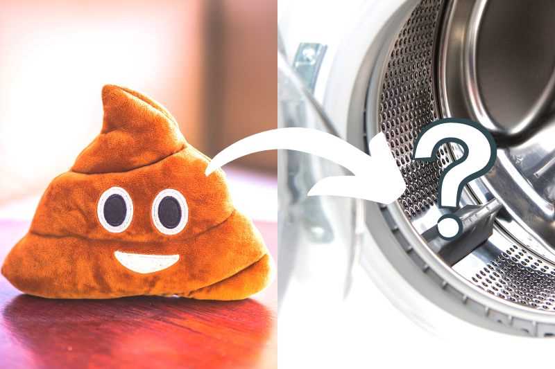 Is it Safe to Put Poop in the Washing Machine? Expert Advice Clean