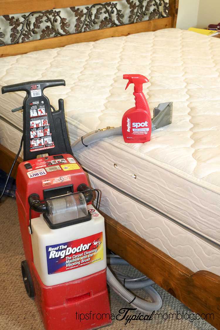 Steps to Use a Carpet Cleaner on Your Mattress