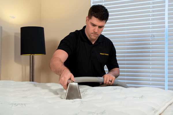 Considerations Before Using a Carpet Cleaner on a Mattress