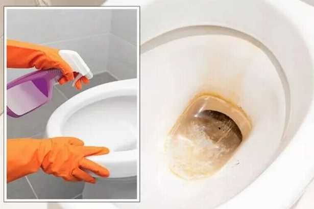 Understanding the Effects of Bleach on Toilet Bowls