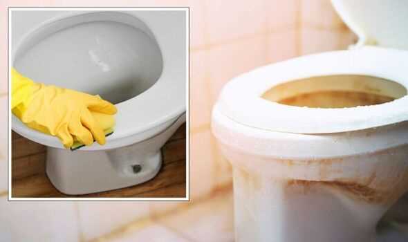 5. Commercial Non-Bleach Toilet Bowl Cleaners
