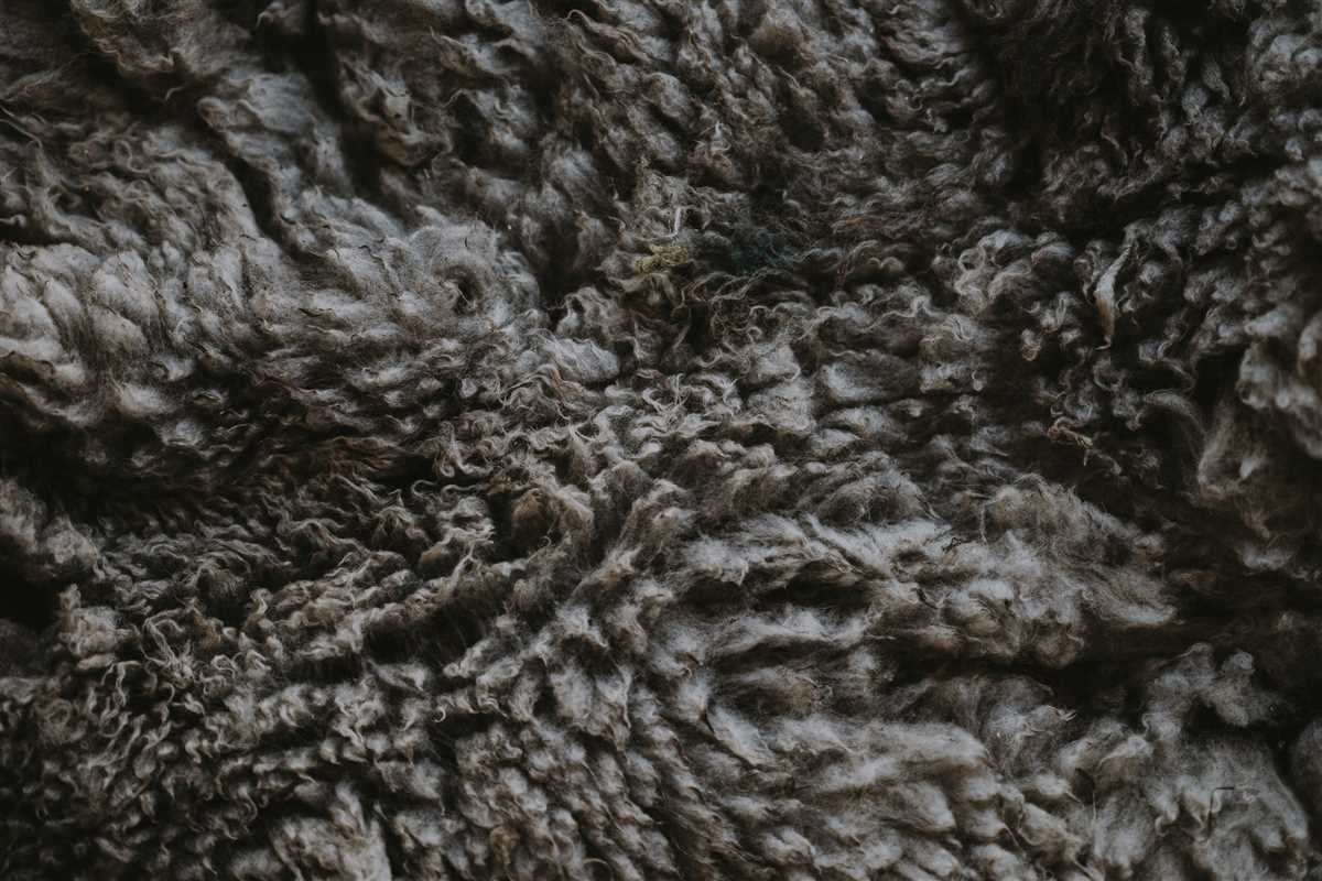 Characteristics of Merino Wool