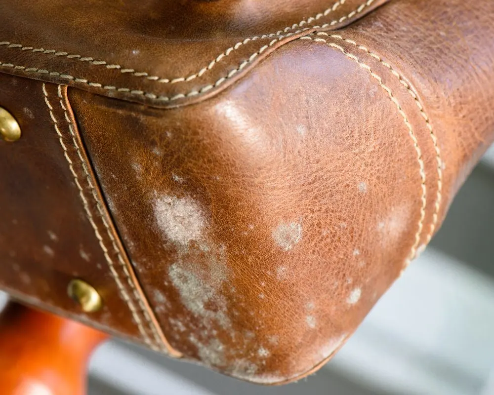 Preparing Your Leather Purse for Cleaning