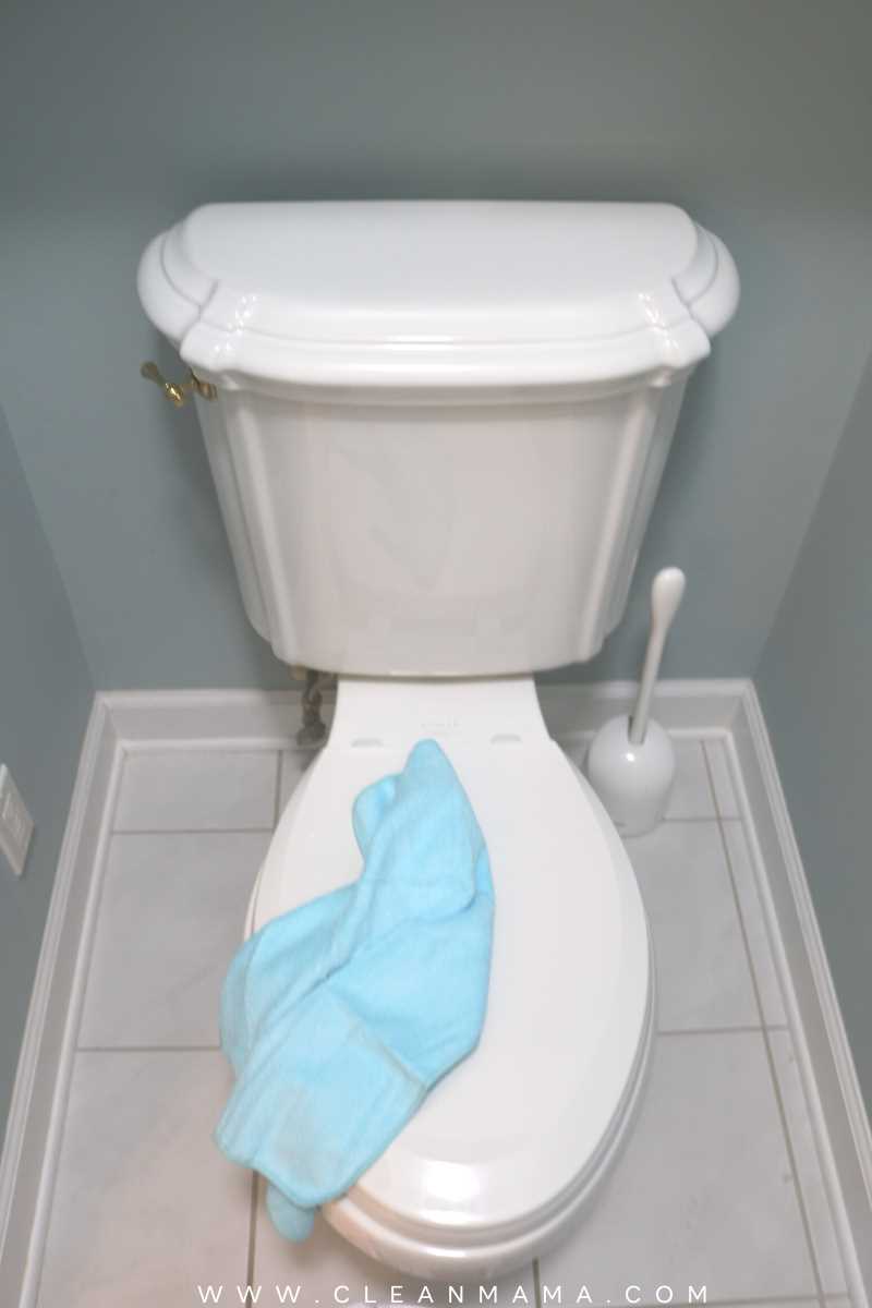 4. Clean the toilet base
