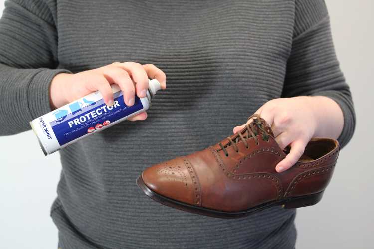 Why Is Cleaning Leather Shoes Important?