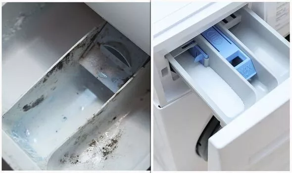 Essential Tools and Materials for Cleaning a Mouldy Washing Machine Drawer