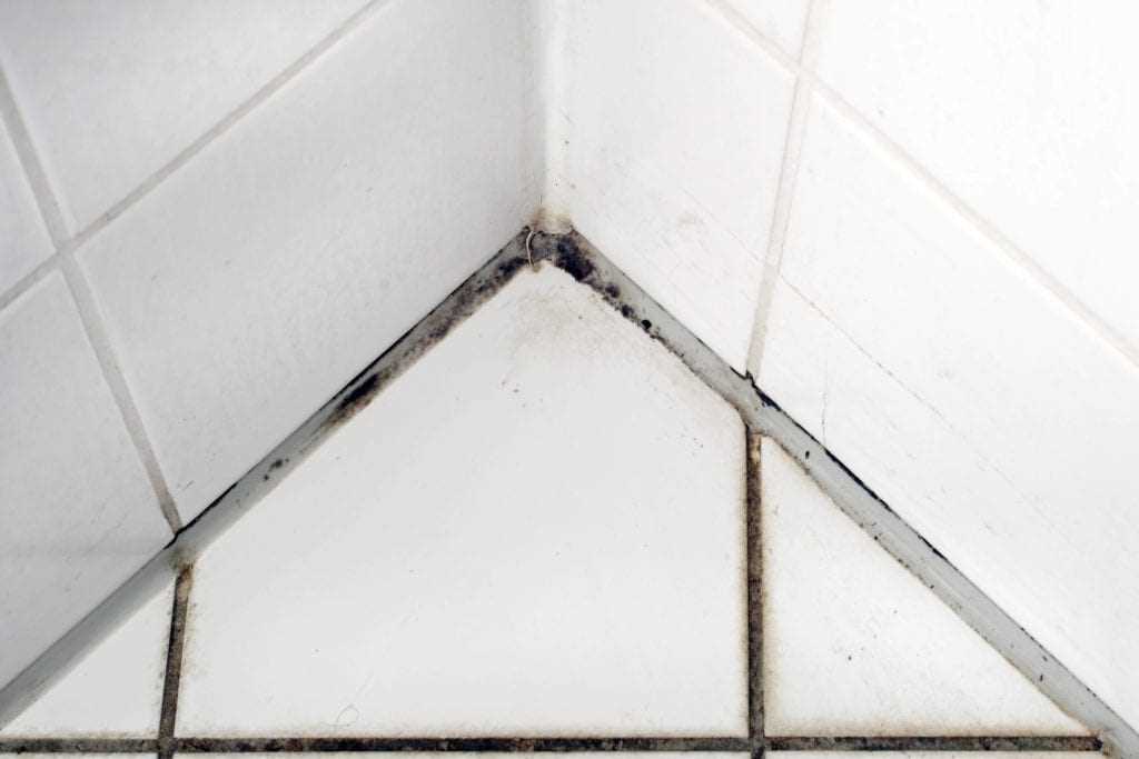 Step-by-Step Guide to Removing Mouldy Bathroom Sealant