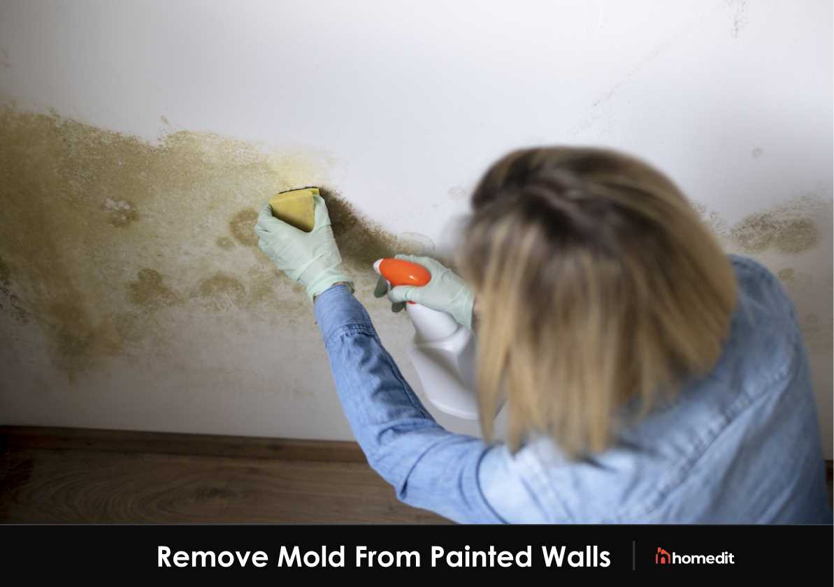 Step-by-Step Guide to Cleaning Mould Off Walls