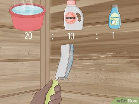 8. Establish a cleaning plan: