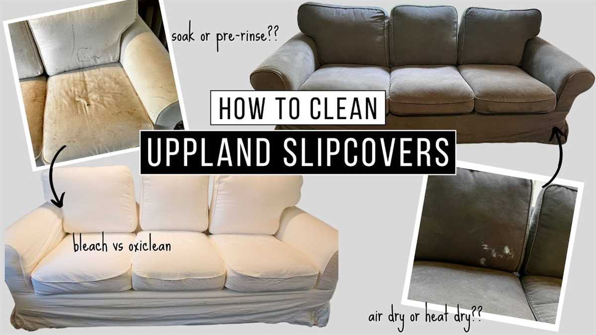 2. Stain Remover