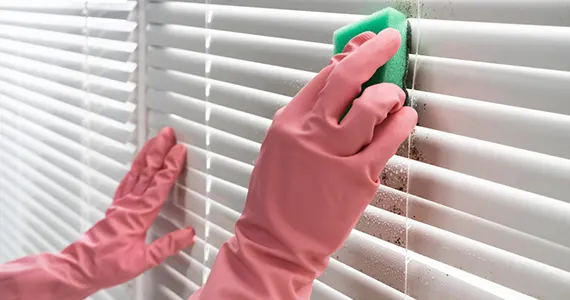 2. Remove the Blinds