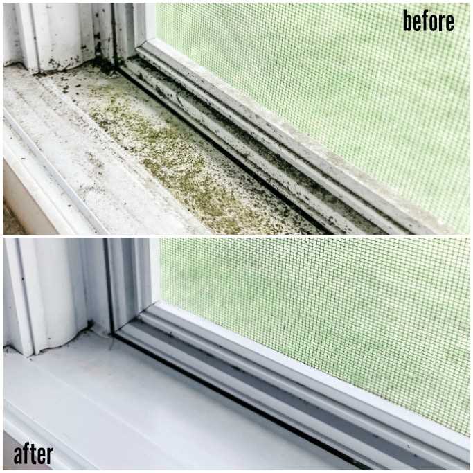 Importance of Window Sill Maintenance
