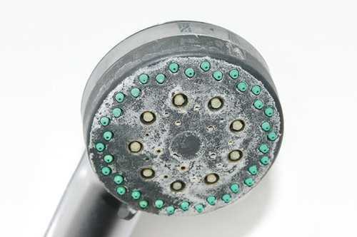 Step 1: Remove the shower head