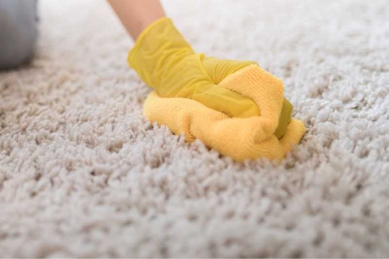 Here are some simple steps to help you dry your carpet: