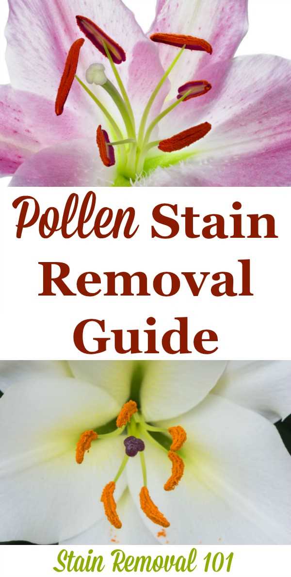 Tips for Removing Lily Pollen Stains from Clothes