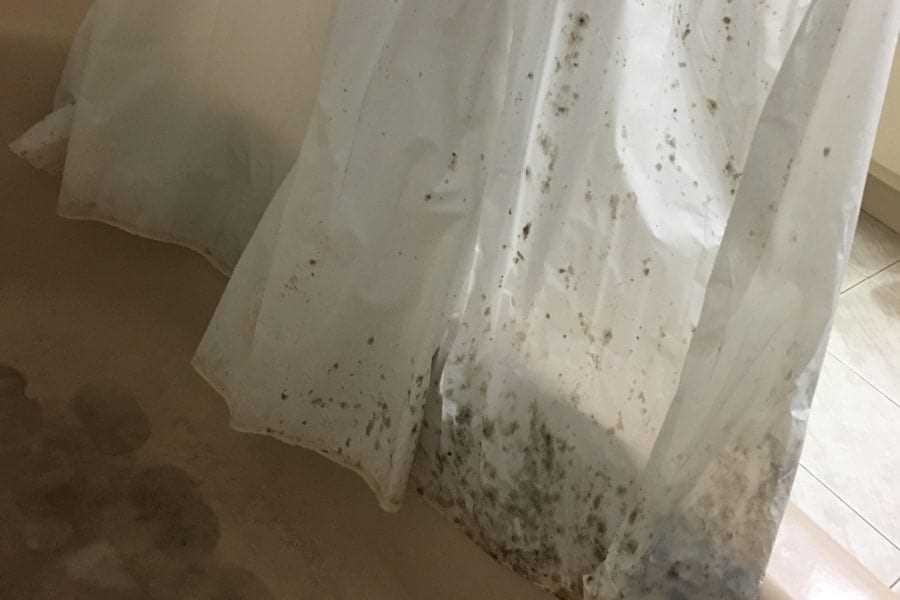 Causes of Mould on Curtains