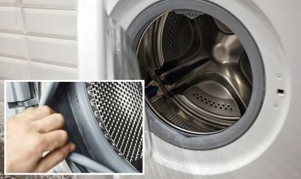 3. Clean the Washing Machine Regularly