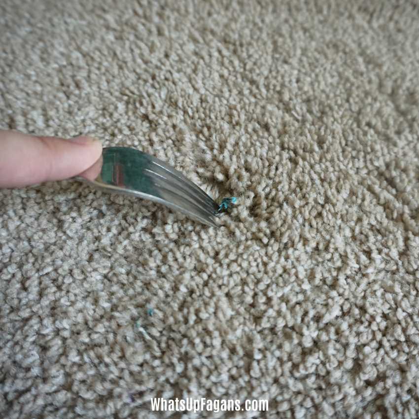 Easy Tips and Tricks: How to Remove Blu Tack from a Carpet - Clean Home ...