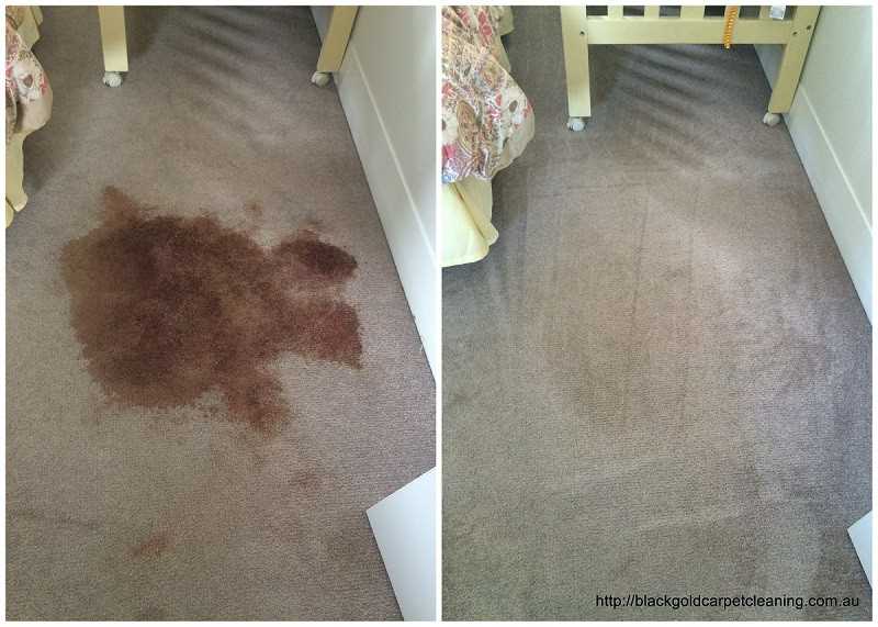 4. Commercial Carpet Stain Removers