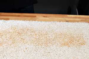 Professional Carpet Cleaning Services for Rust Stain Removal