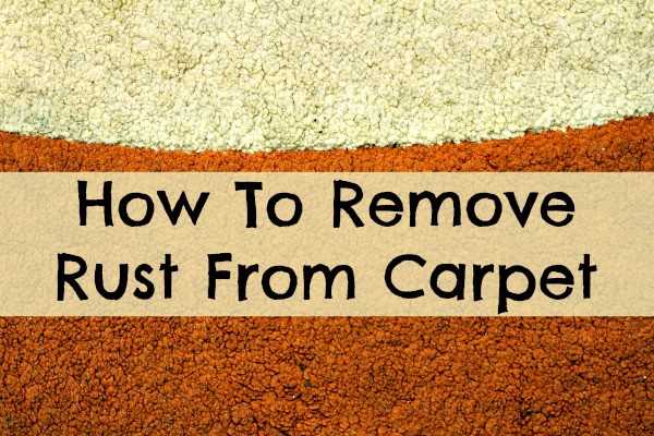 The Benefits of Professional Carpet Cleaning