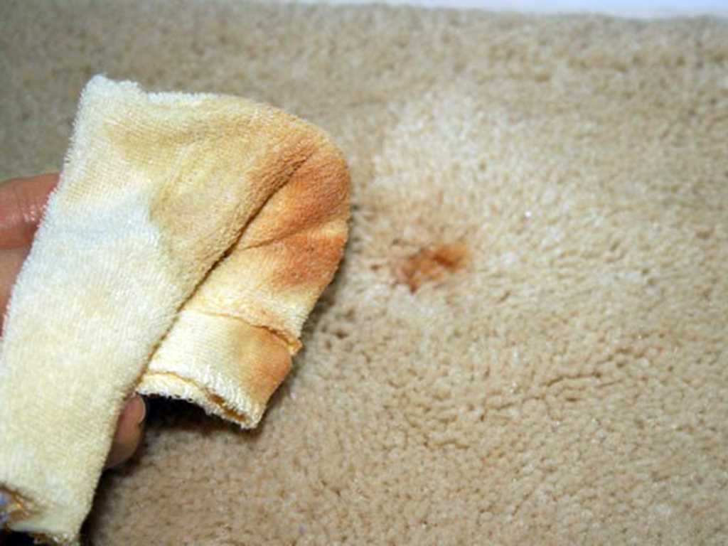 Hiring a Professional Carpet Cleaning Service