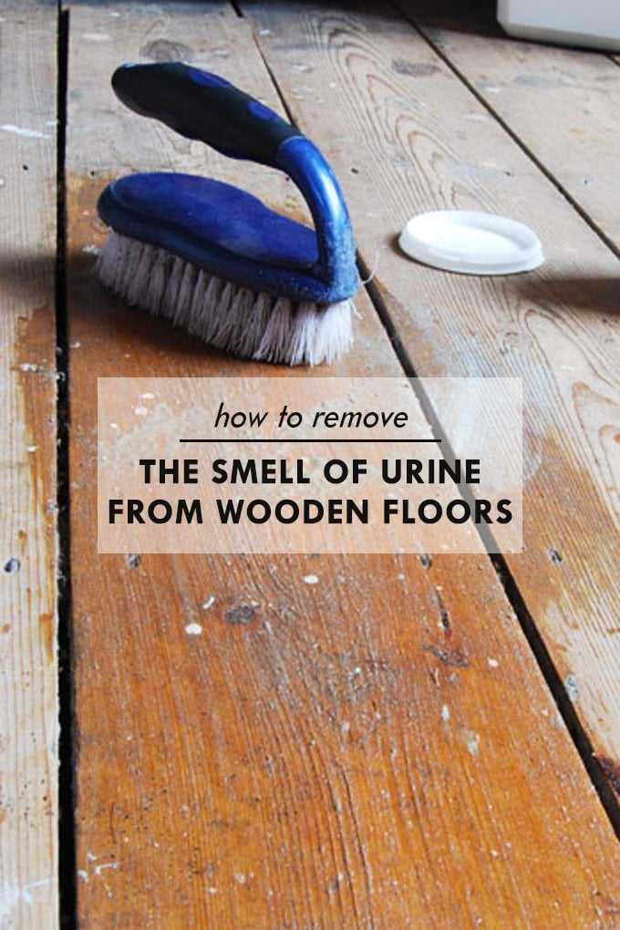 Using Vinegar and Baking Soda to Neutralize Odors