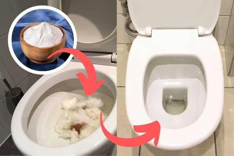 The Importance of a Clean Toilet