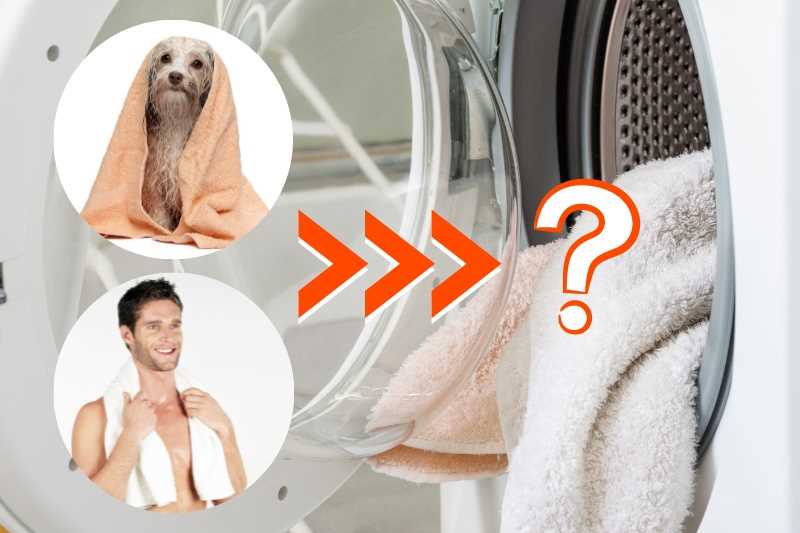 What You'll Need for Washing Dog Towels