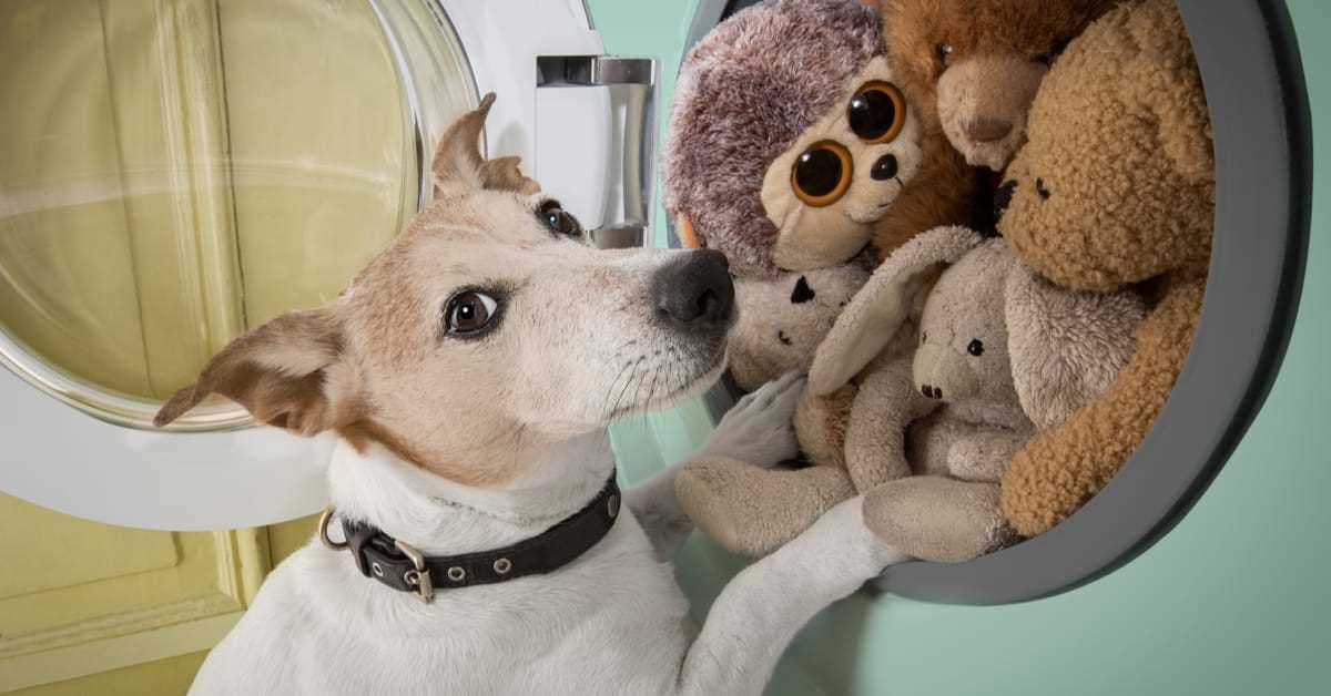 3. Cleaning Stuffed Toys