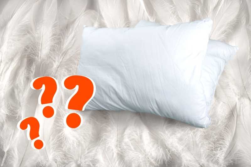 The Importance of Clean Duck Feather Pillows