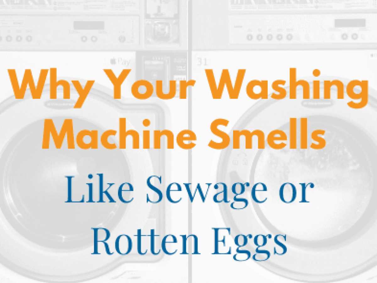 Why Does My Washing Machine Smell Like Sewage? Find Causes and