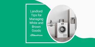 Importance of White Goods