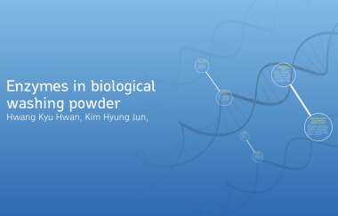 The Types of Enzymes in Biological Washing Powders