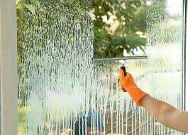 Discover the Best Products to Wash Windows With