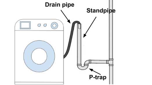 6. Enzyme-Based Cleaner